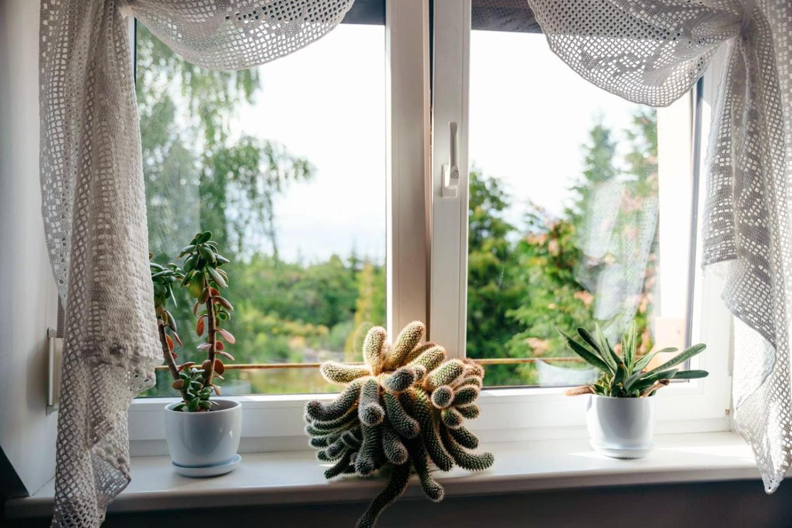 Zielona Parcela Pisz Ngoại thất bức ảnh